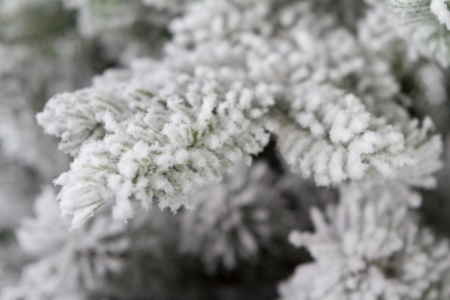 Елка "Аляска заснеженная"